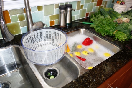 Veggie prep sink